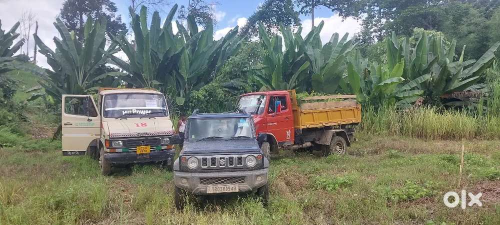 No Need 4×4 Car