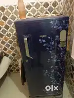 Fridge, 2018