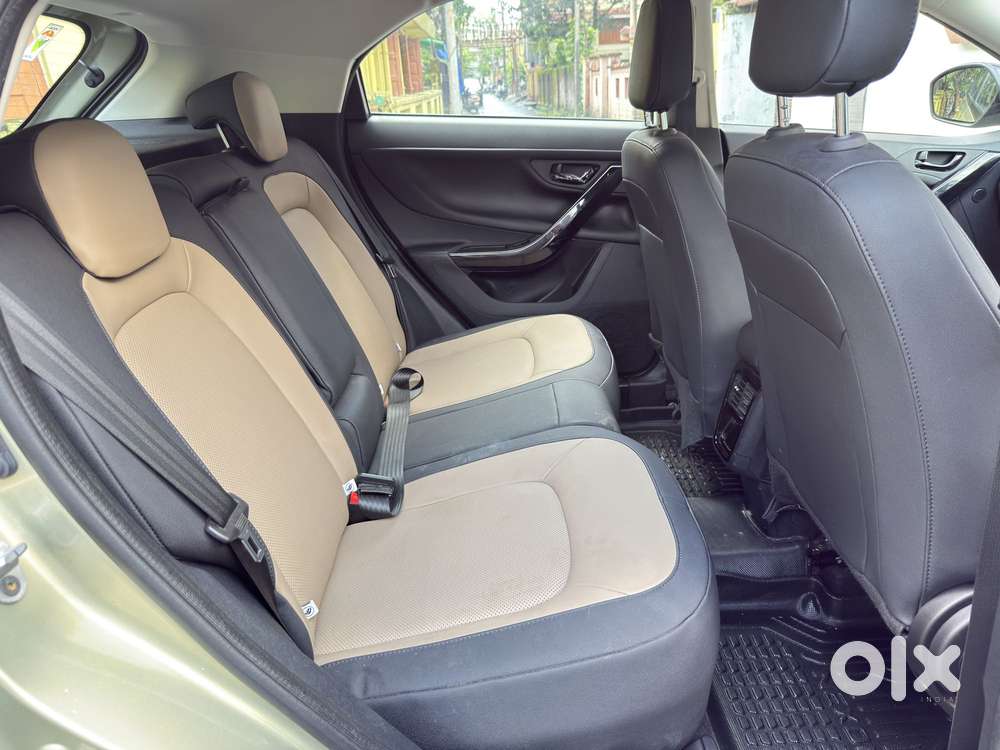 Tata Nexon Xz Plus Luxs Kaziranga, 2023, Petrol