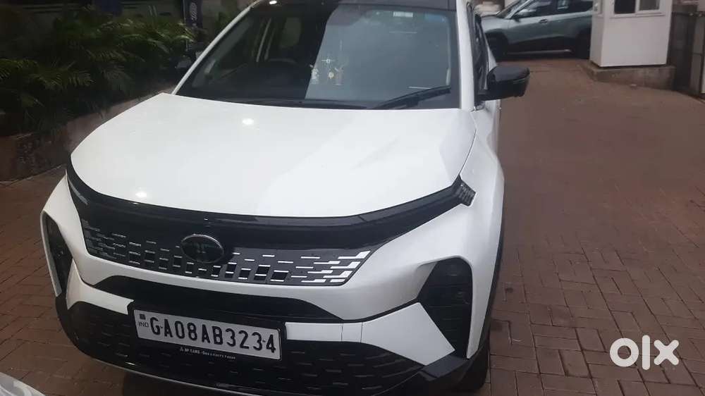 Tata Curvv 2024 Petrol Well Maintained Only 16000 Driven