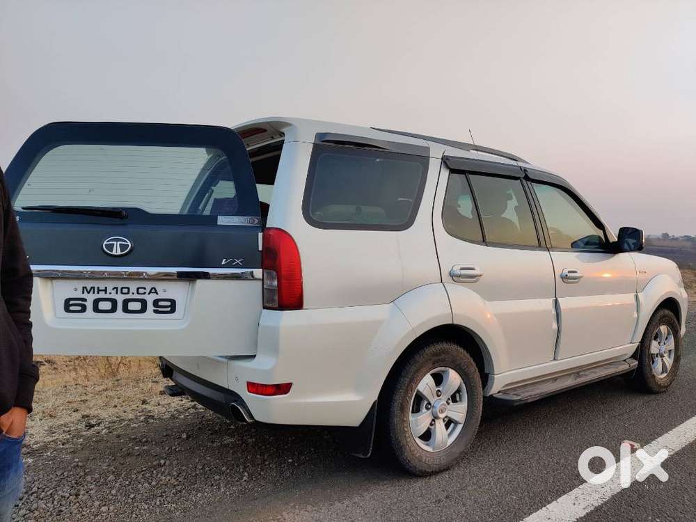 Safari Strome Vericor