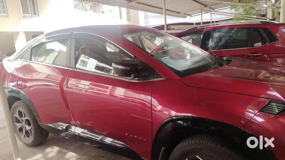 Tata Curvv 2025 Petrol 6000 Km Pano Sunroof