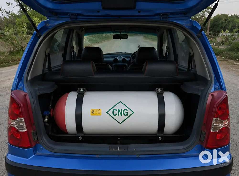Hyundai Santro Xing 2010 Cng & Hybrids 83220 Km Driven