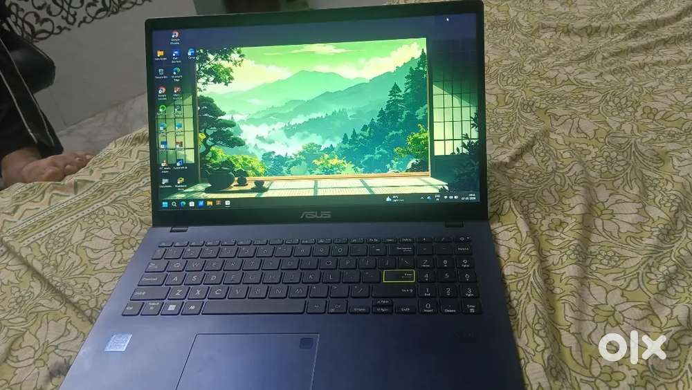Asus vivobook Go 15