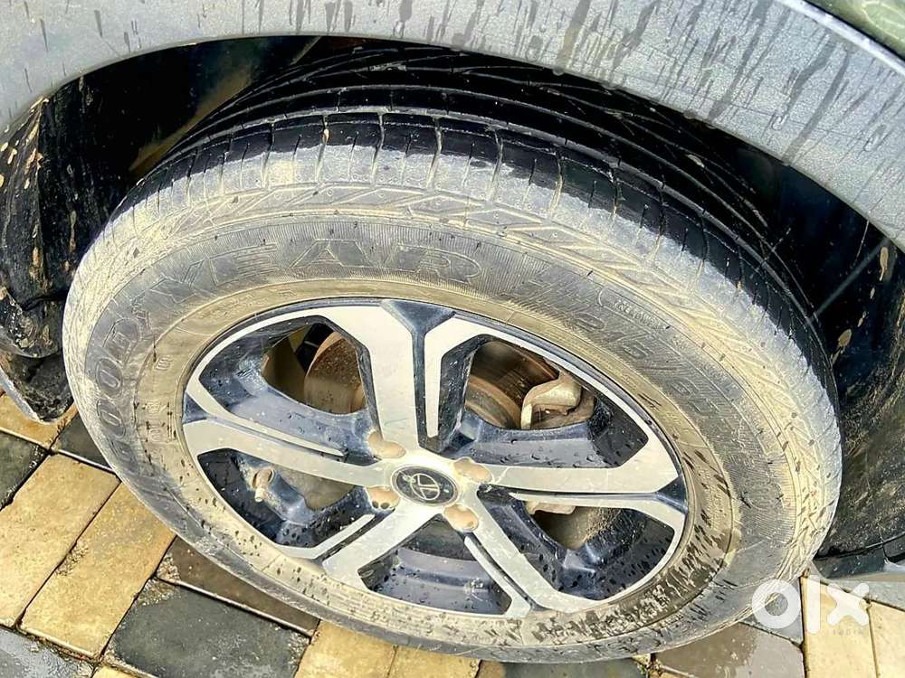 Tata Nexon Xz Plus Luxs Kaziranga, 2022, Petrol
