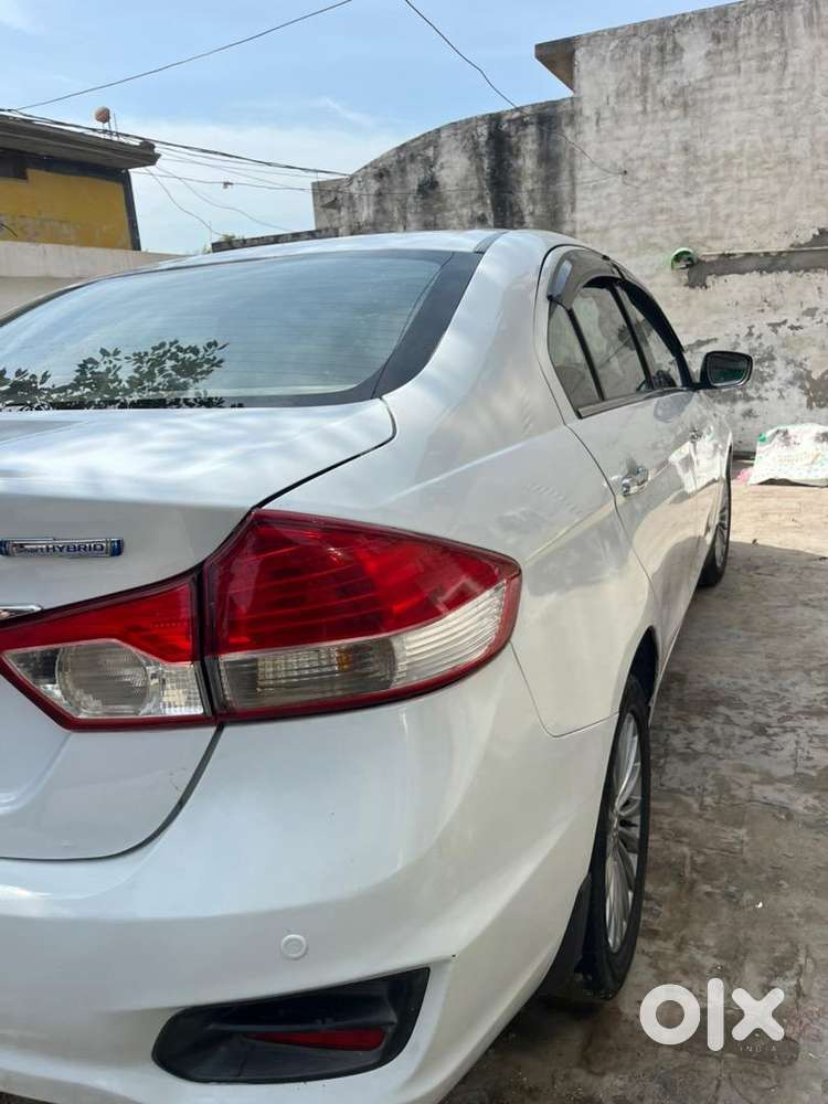 Maruti Suzuki Diesel 2017