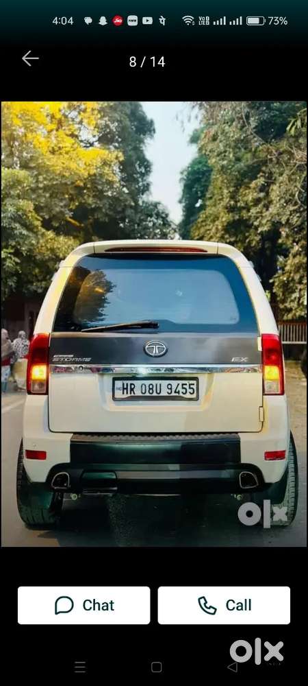 Safari Strom 2015