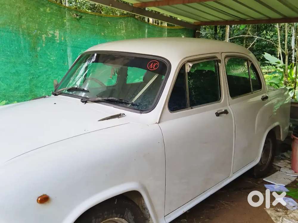 2006 Model Ambassador