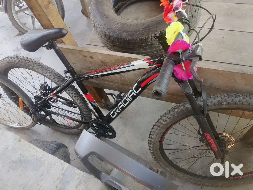 Creadic cycle with gear and 2 disk brakes