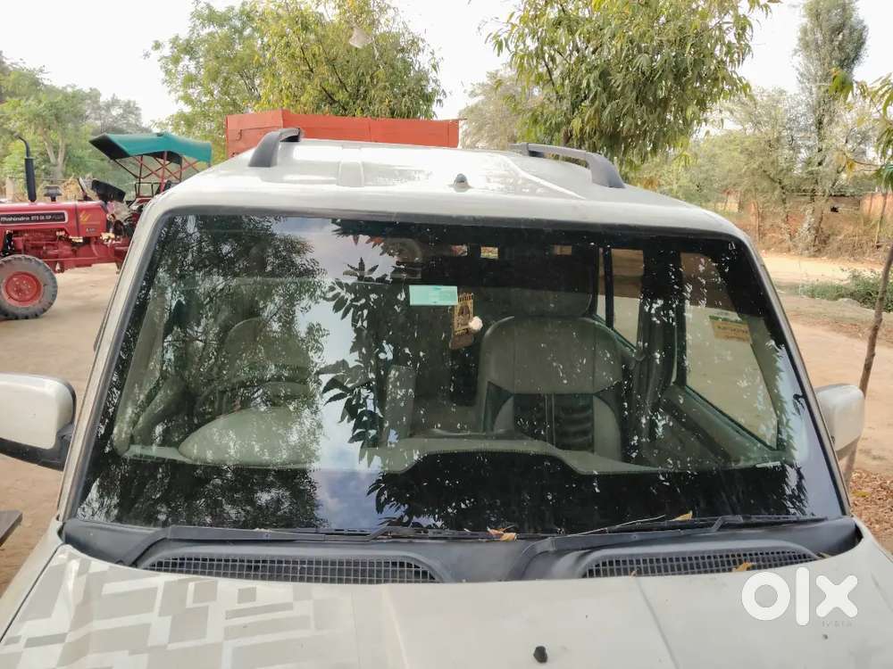 Body Condition 1 Number Condition