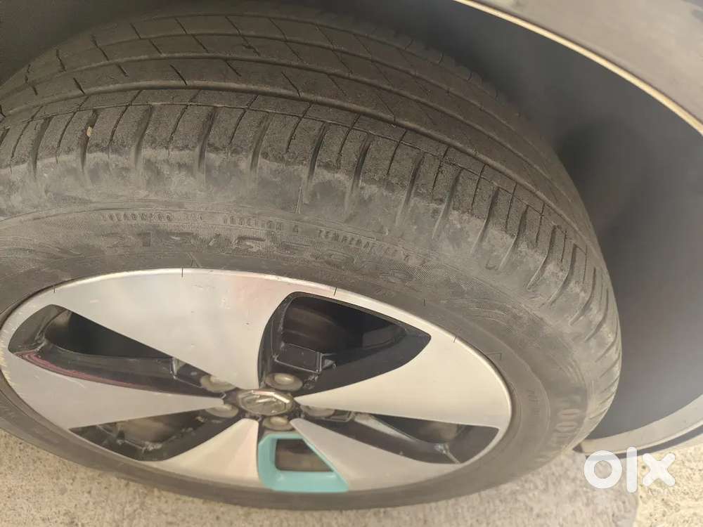 Mg Windsor Ev 2025