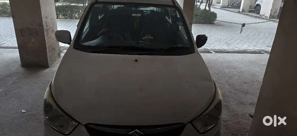 Maruti Suzuki Alto K10 2017 Cng 3rd Owner