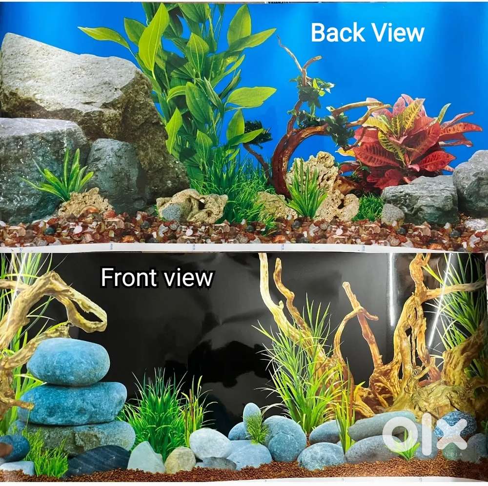 fish aquarium accessories olx Fish - Buy & Sell Pet Food & Accessories Online in Ambattur