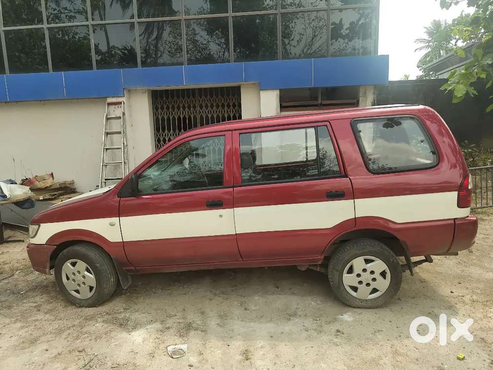 Company Service  Only