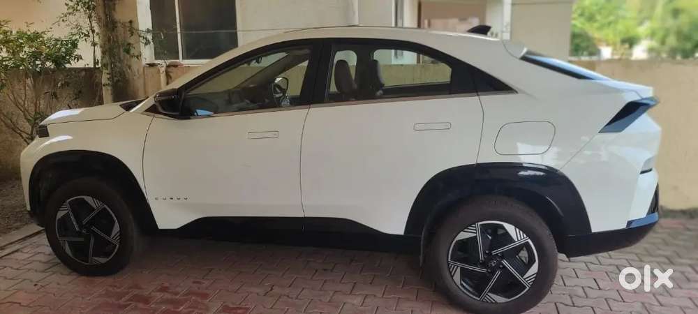 Tata Curvv 2025 Petrol Well Maintained