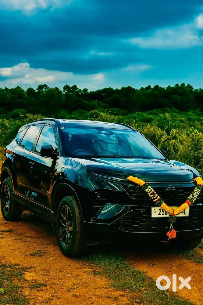 Tata Harrier 2025 Diesel Well Maintained (within 6 Month)
