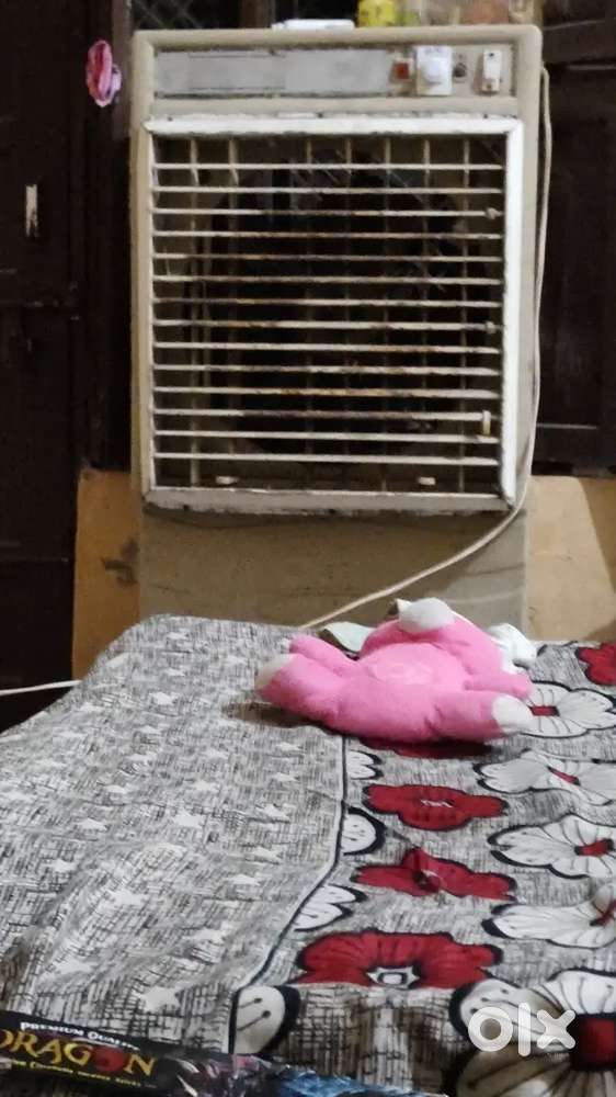 Cooler fan