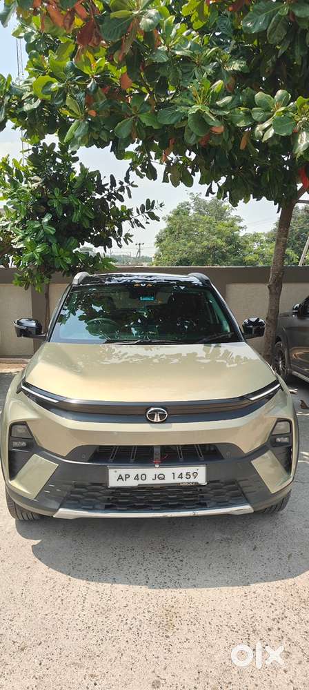 Tata Nexon Creative +ps Petrol +cng