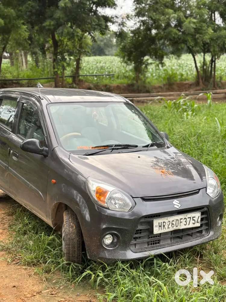 Maruti Suzuki Alto 2017 Cng