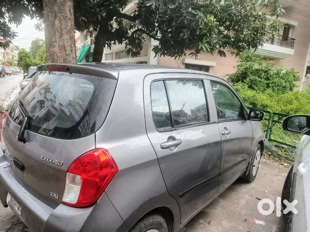 Women Bank Officer Maruti Suzuki Celerio Zxi(o) 2017