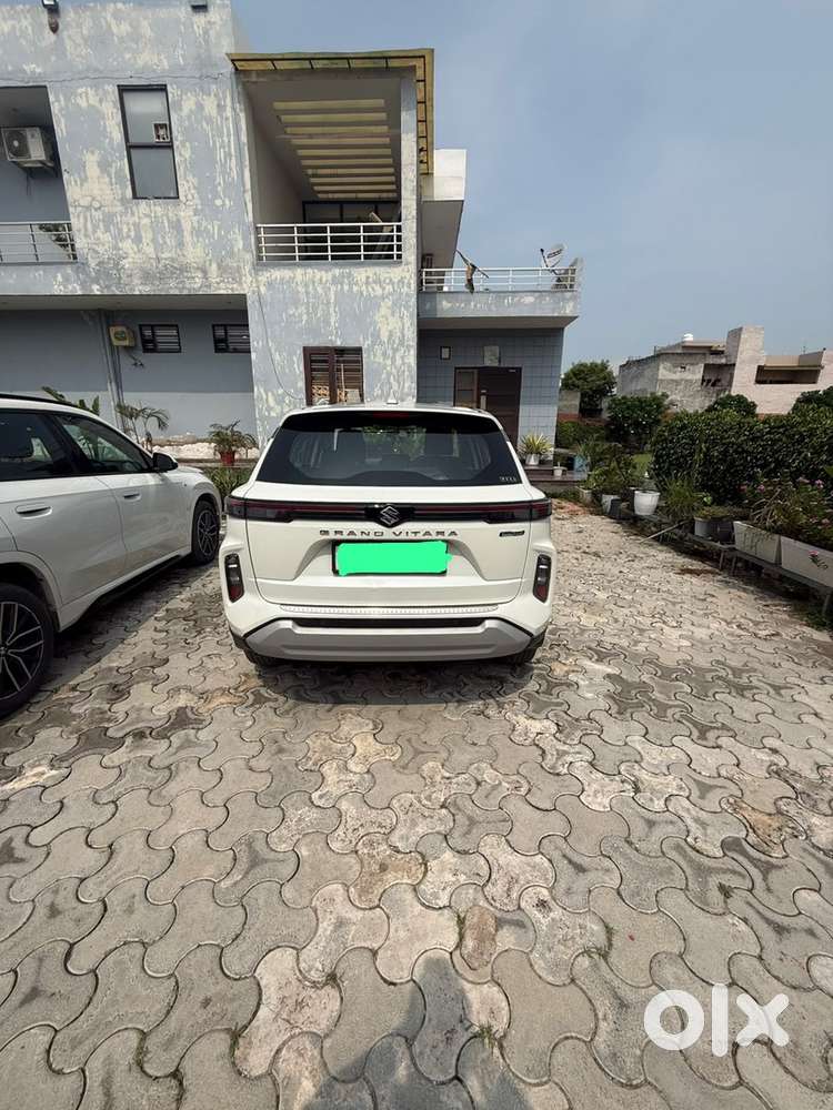 Maruti Suzuki Grand Vitara 2023 Petrol Well Maintained