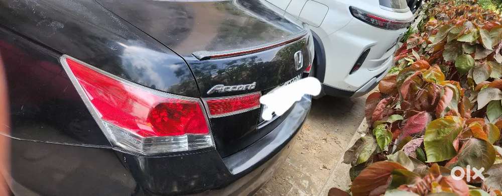 Honda Accord 2010 Petrol Well Maintained