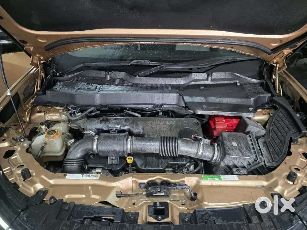 Tata Safari Accomplished Plus 2024 Dual Tone
