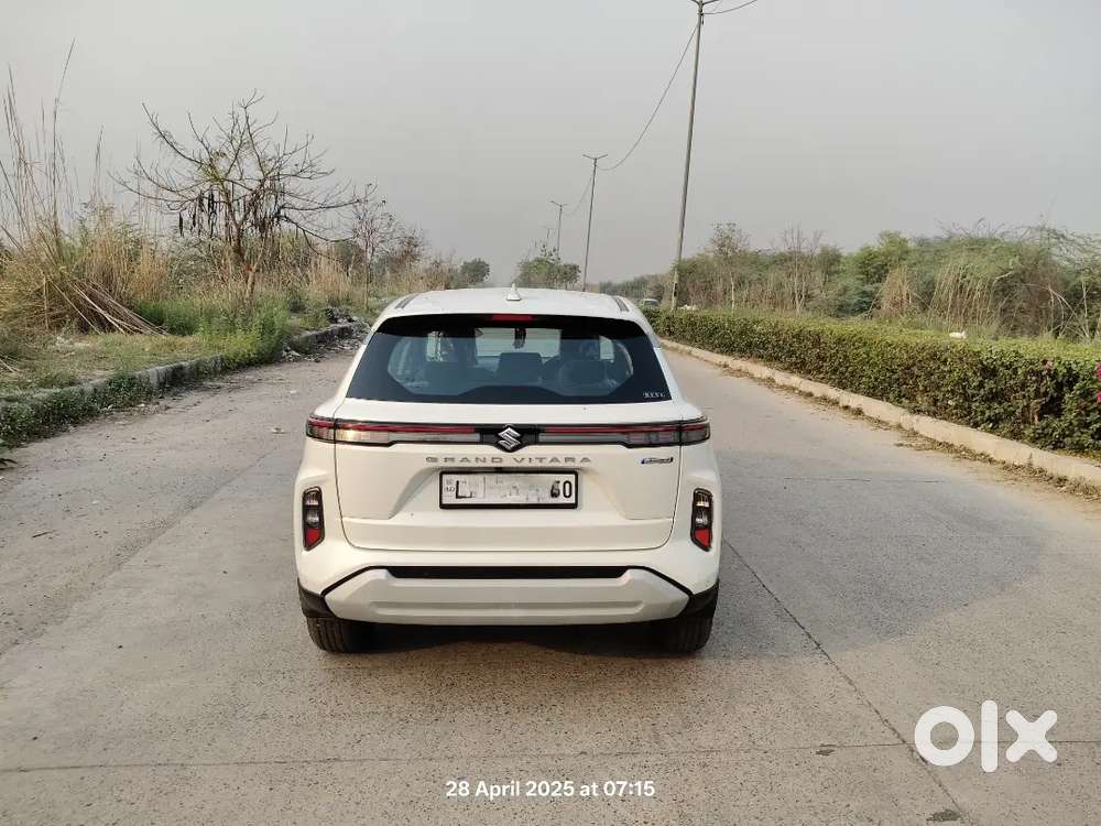Maruti Suzuki Grand Vitara 2024 Petrol 3323 Km Driven