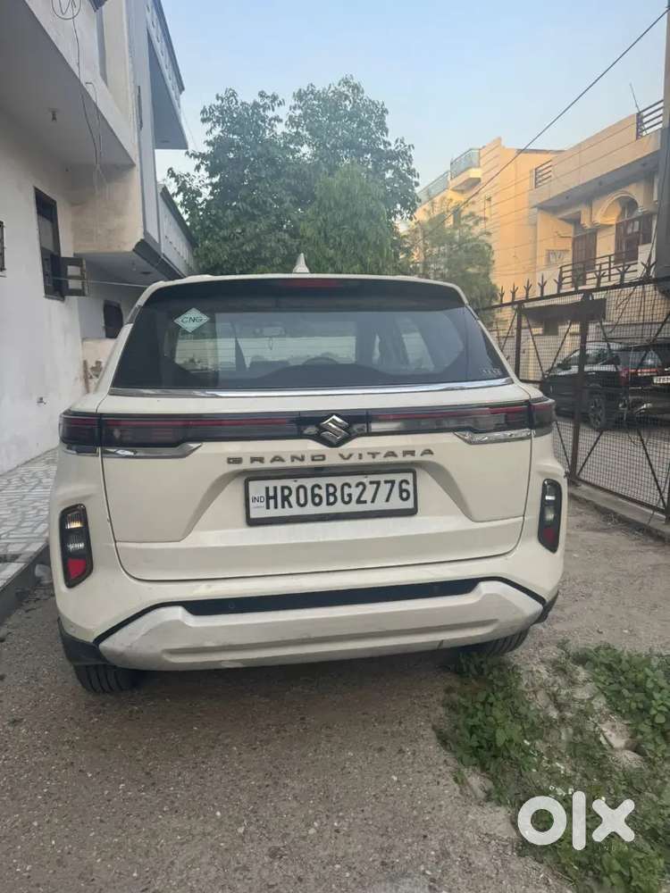 Grand Vitara White Colour
