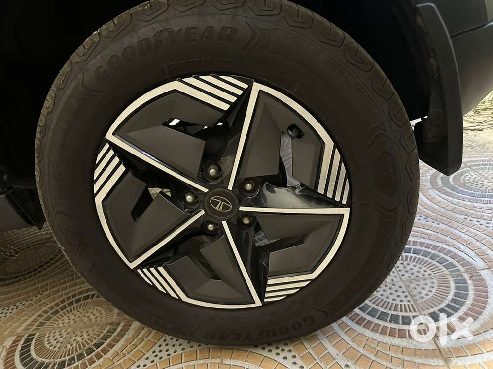Tata Nexon Petrol 2024