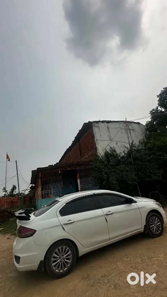 Ciaz Maruti Suzuki 2016 Rs Zdi Plus Shvs