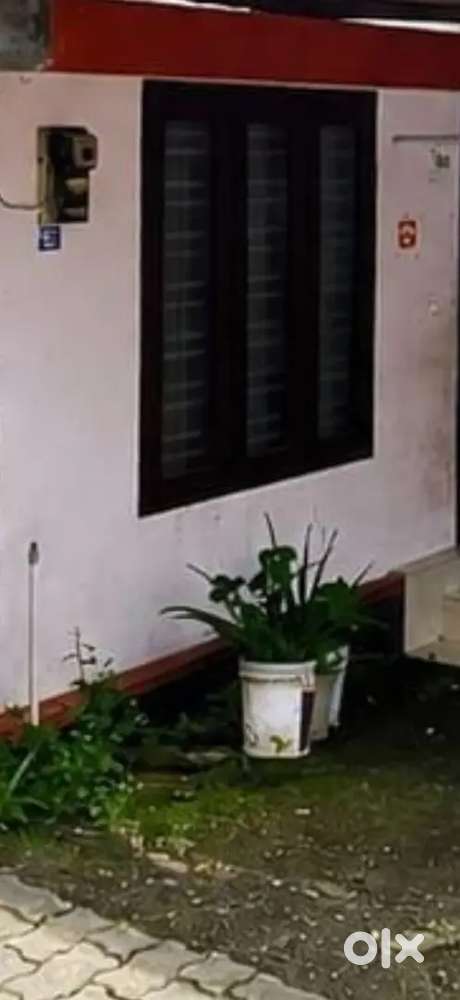 3BHK in Kakkanad