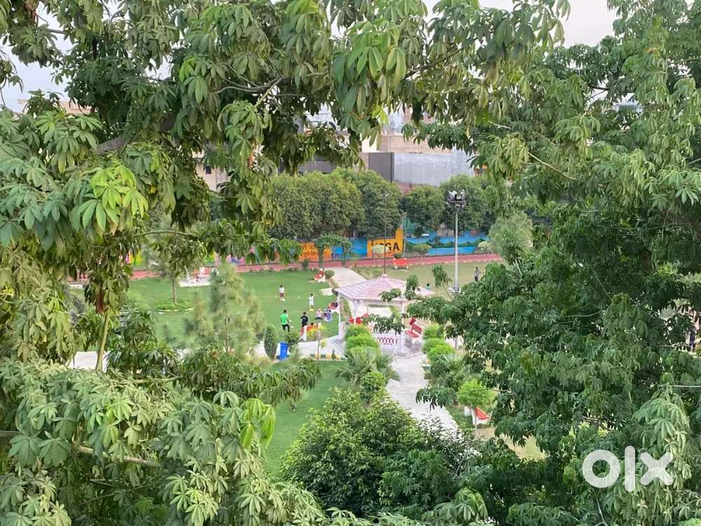 2 BHK apartment floor for rent in Model Town | 2 balconies + Terrace a