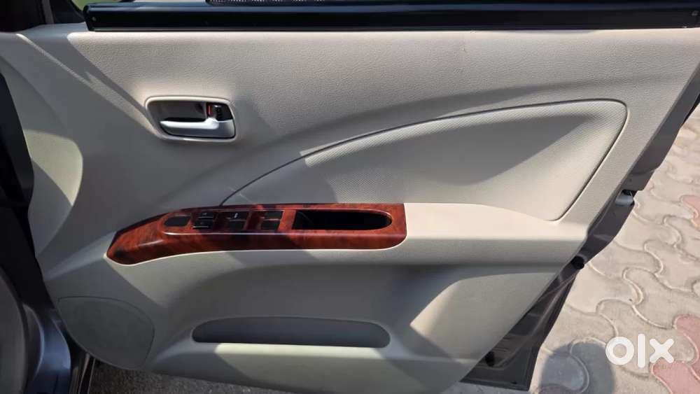 Maruti Suzuki Celerio Cng Vxi Optional, 2019, Cng & Hybrids