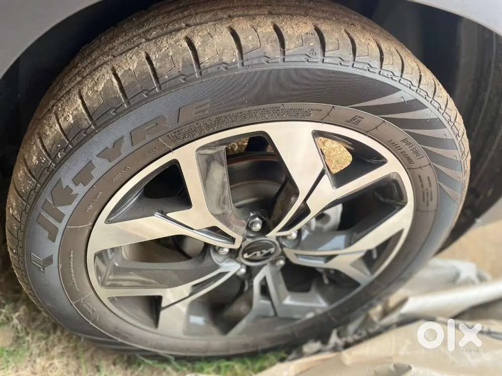 Kia Seltos 2025 Petrol Well Maintained