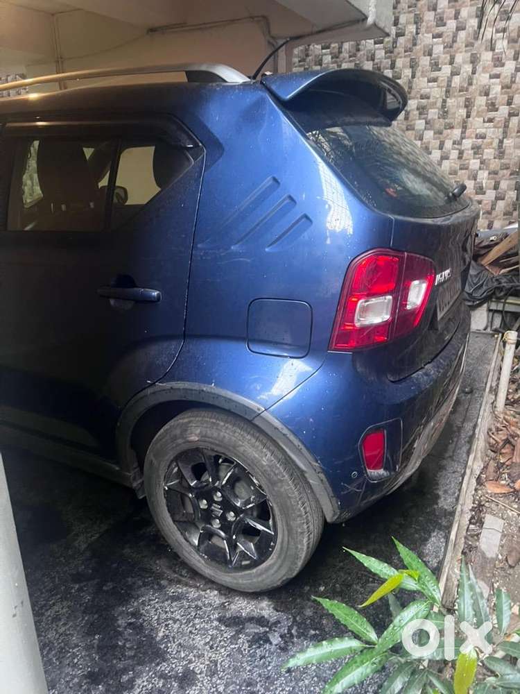 Maruti Suzuki Ignis 2023 Petrol 8000 Km Driven