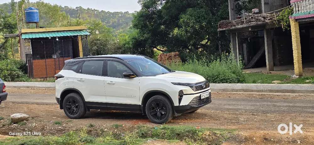 Tata Harrier Fearless Plus 2024 Dual Tone