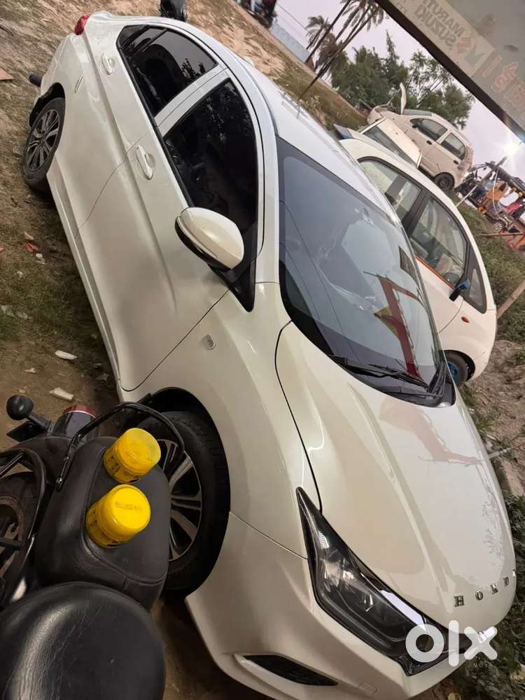 Scorpio Lena Hai