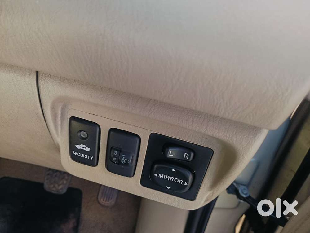 Completely Showroom Maintenance