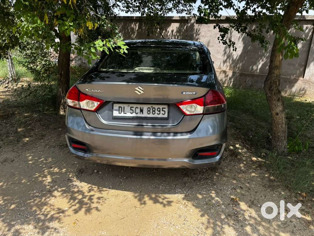 Maruti Suzuki 2017 Ciaz