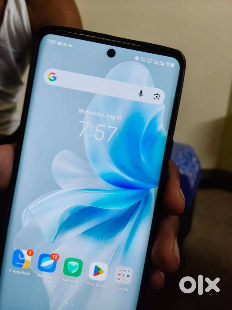 V30 pro 12/256
