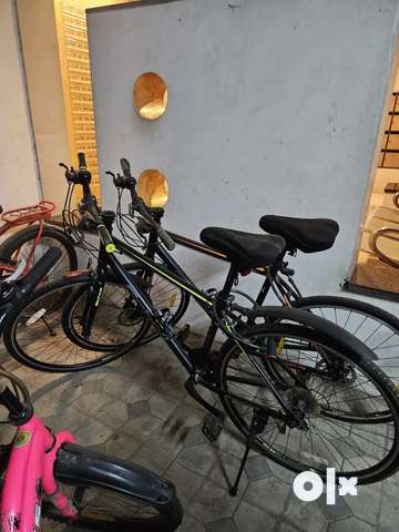 Cycles X 2 Brand Scholl HB 7.1 and 7.2 Multi gear city bikes Bicycles 1768974609