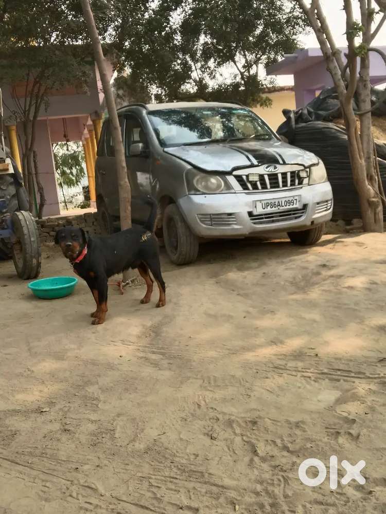 Mahindra Xylo 2014 Diesel 84000 Km Driven