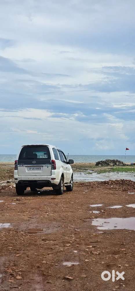 Safafi Storme In Excellent Condition