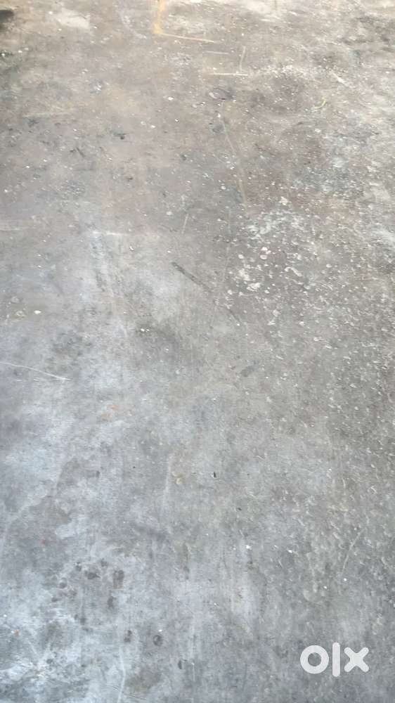 Good Condition Rampur
