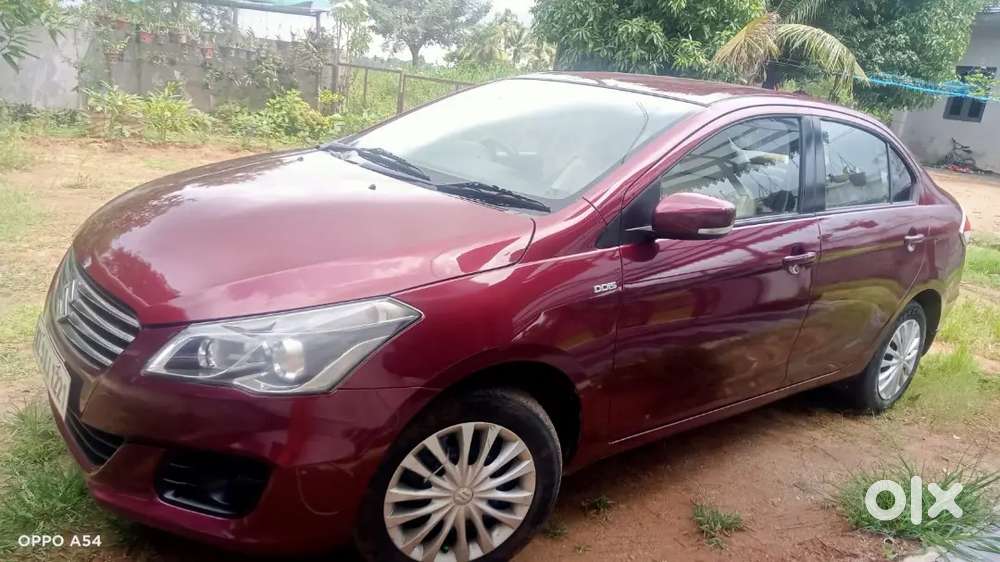 Maruti Suzuki Ciaz Vdi 2015 Car