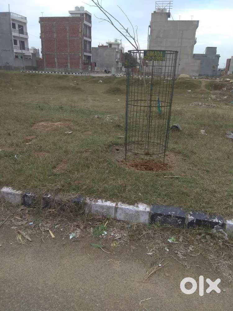 200 Sq Yard Plot For Sale in Ecocity, New Chandigarh
