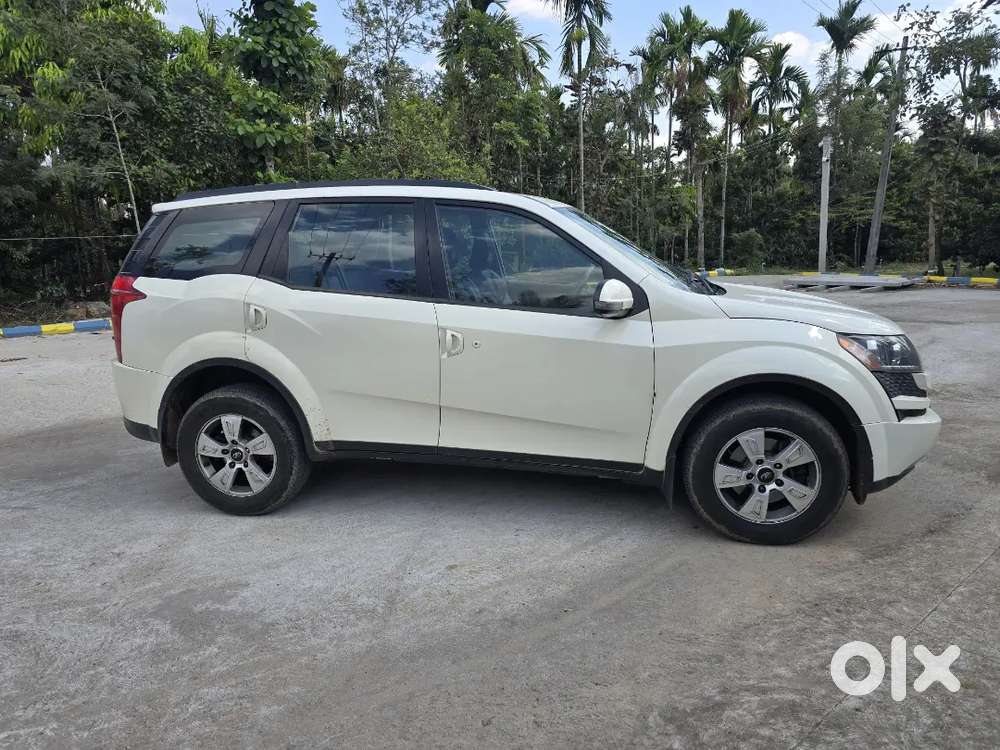 Showroom Maintenance