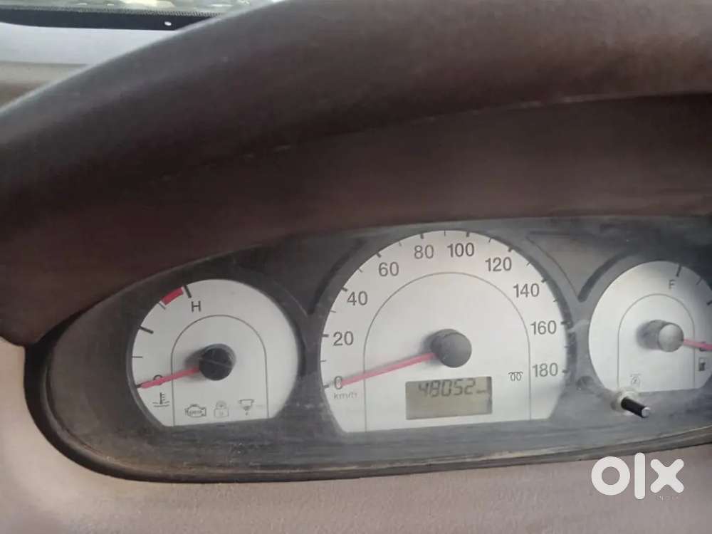 2013 Model Koi Kami Nhi H