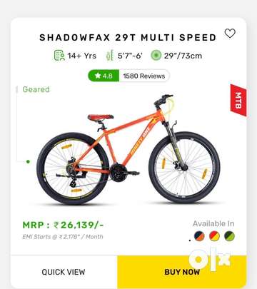 Old mountain best sale bike brands